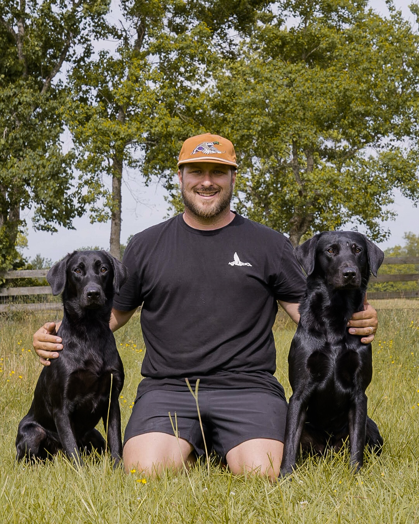 DR - No off season for Elvis and Bailey at @blazinggundogs #workingdogs ...