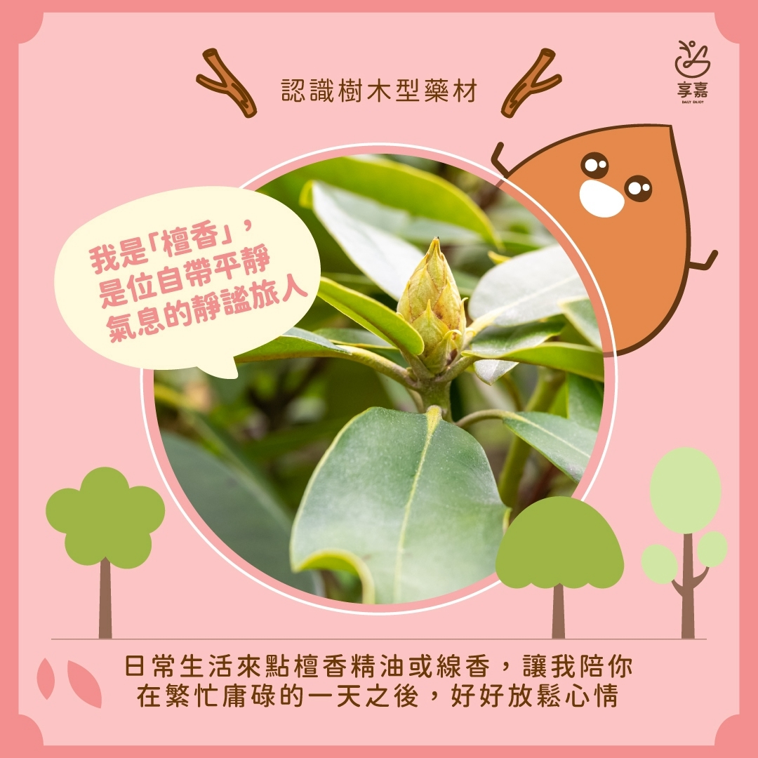 享嘉Daily Enjoy - 不加香精的杏仁茶 - 【＃享嘉小學堂】 ＃快速辨別杏仁的方法 堅果的杏仁是杏仁，夜市的杏仁茶也是杏仁 但他們都 ...