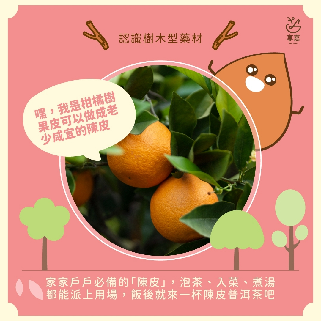 享嘉Daily Enjoy - 不加香精的杏仁茶 - 【＃享嘉小學堂】 ＃快速辨別杏仁的方法 堅果的杏仁是杏仁，夜市的杏仁茶也是杏仁 但他們都 ...