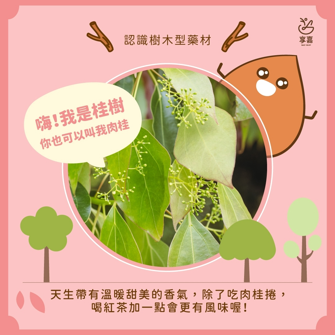 享嘉Daily Enjoy - 不加香精的杏仁茶 - 【＃享嘉小學堂】 ＃快速辨別杏仁的方法 堅果的杏仁是杏仁，夜市的杏仁茶也是杏仁 但他們都 ...