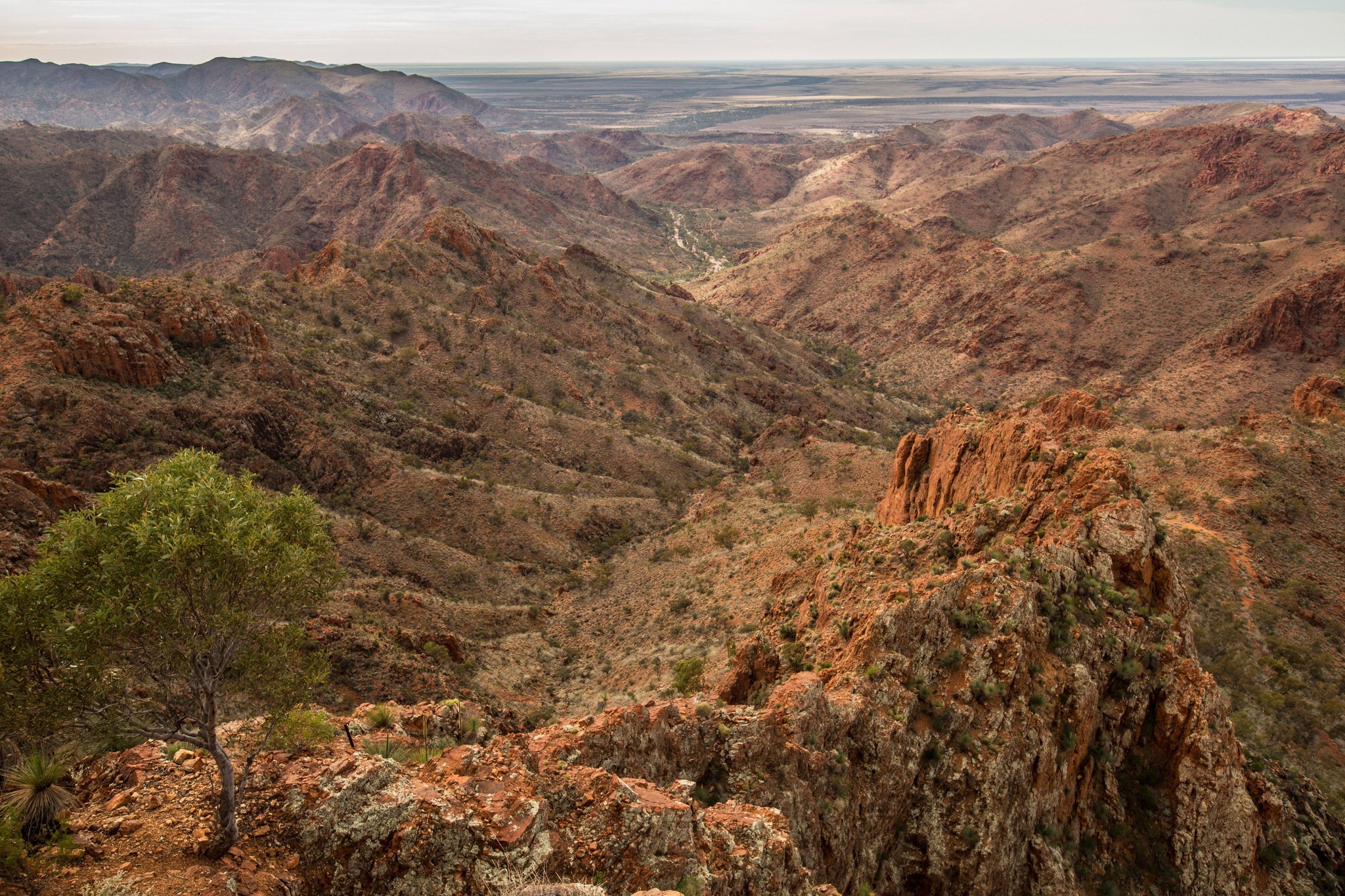 Arkaroola Wilderness Sanctuary | Arkaroola SA