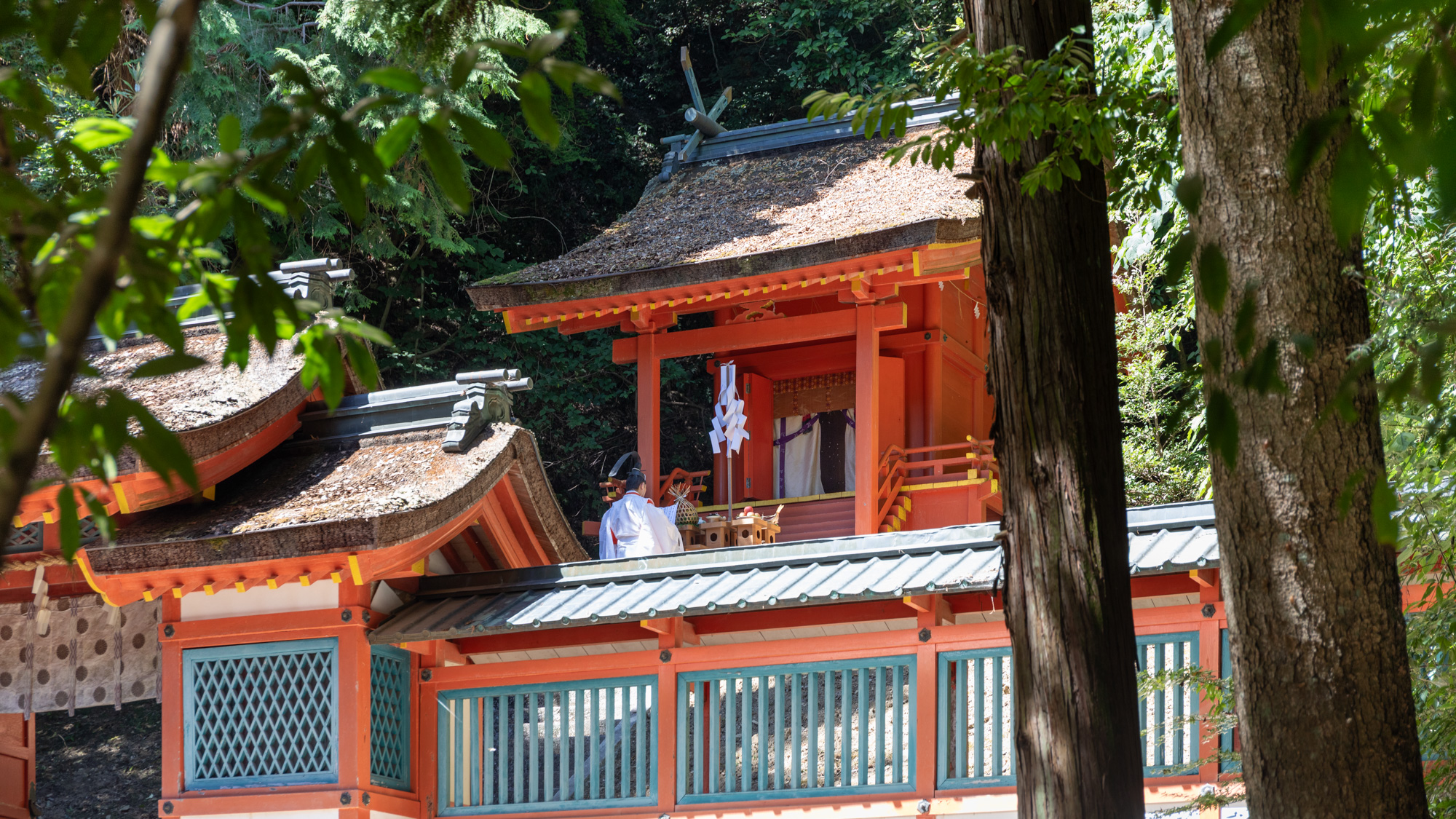 金 刀 比 羅 宮