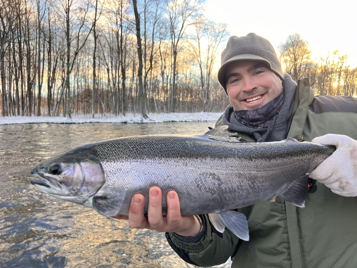 Fish NY