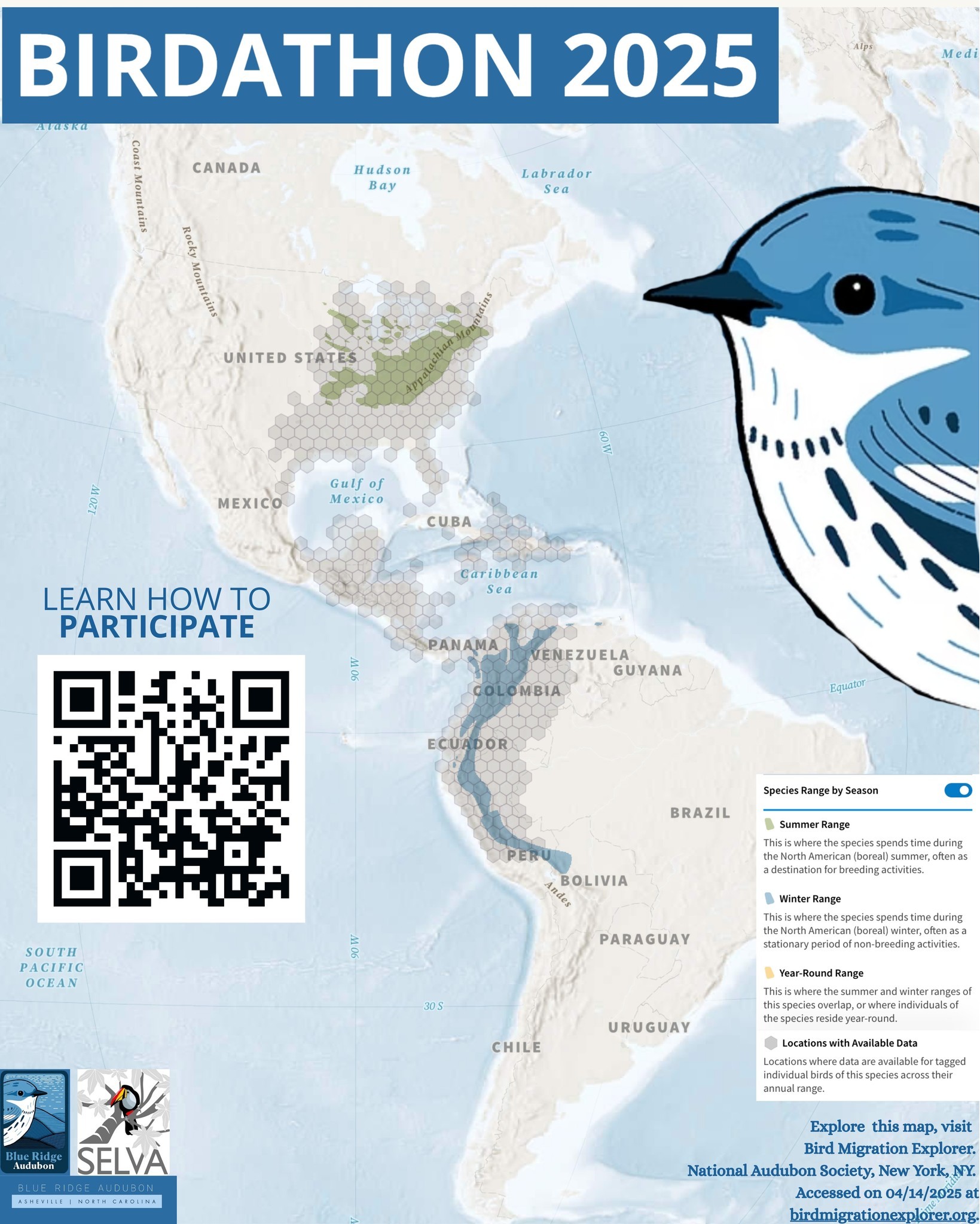Blue - Join BIRDATHON 2025, Blue Ridge Audubon’s annual fundraiser, and ...