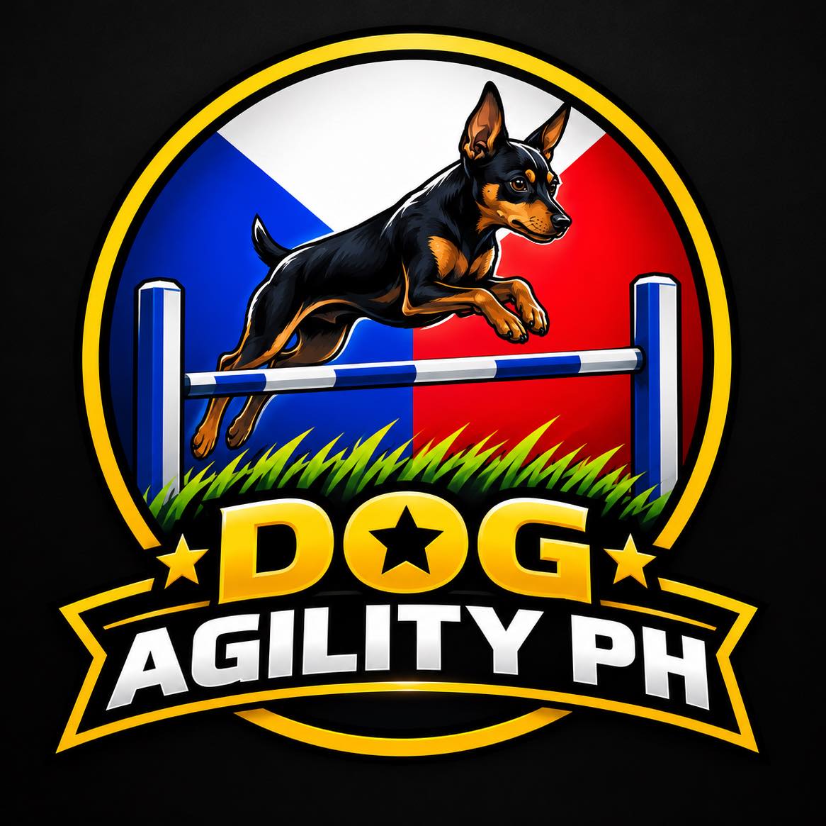 Sheltie Puppy Agility Blast and BG Aliño Sala during the beginners ...
