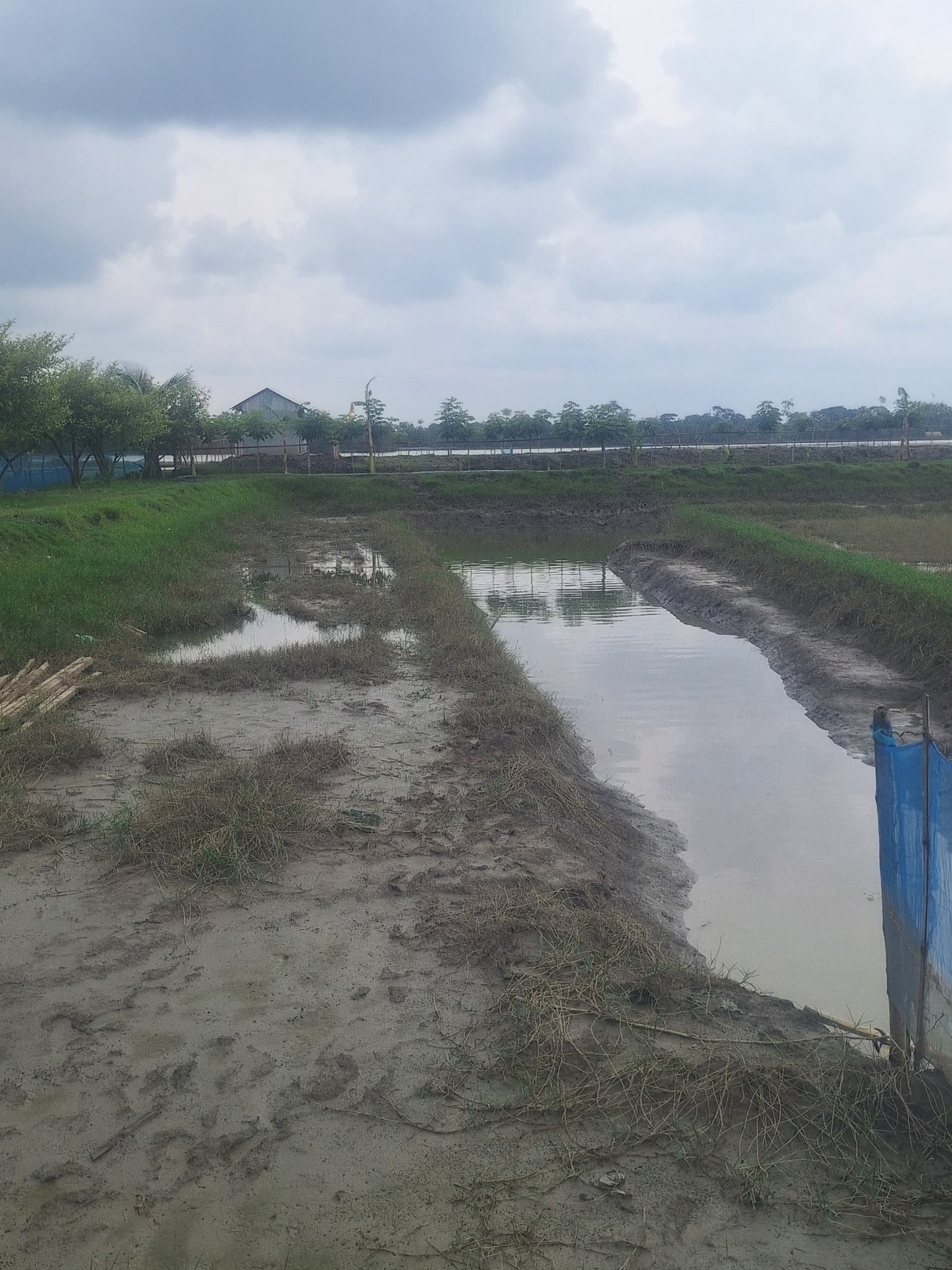 Sheikh Solaiman Liton Aquaculture Ltd.