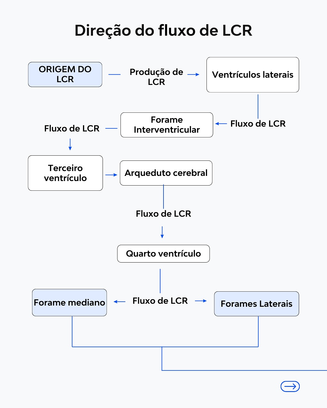 Carreira Médica | Salvador BA