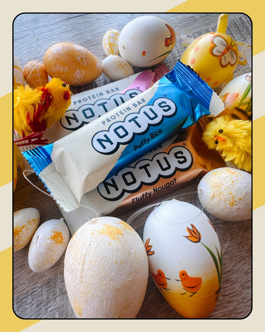 Notus