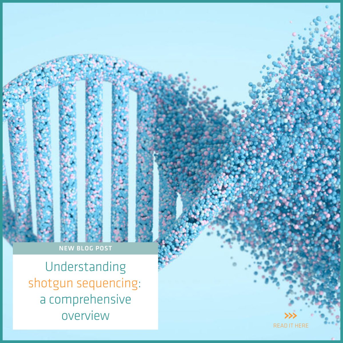 The fragmentation process of shotgun... - INTEGRA_Biosciences