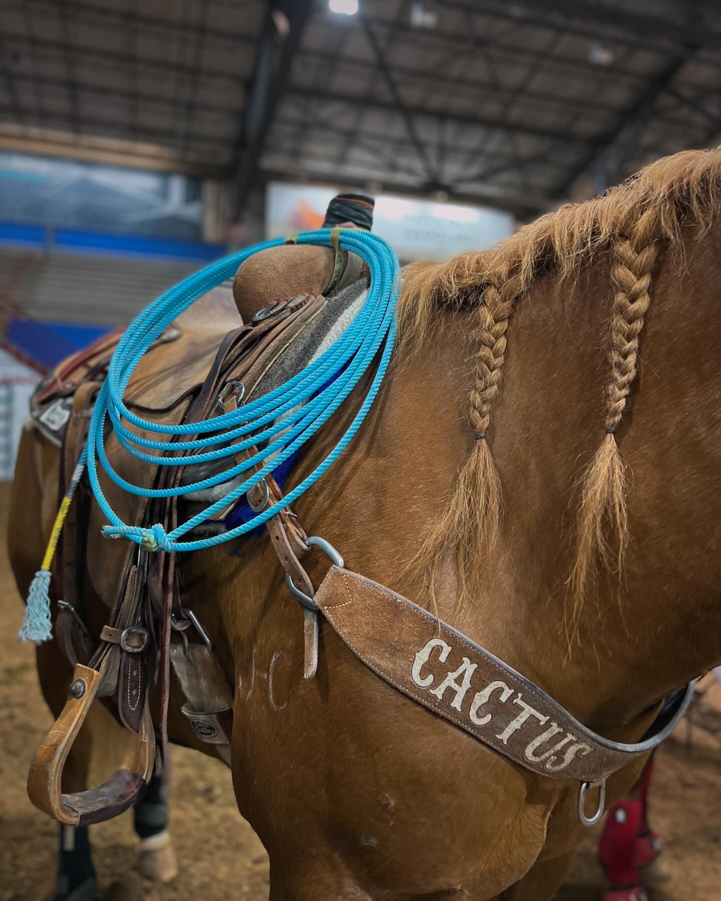 Cactus Ropes | Pleasanton TX