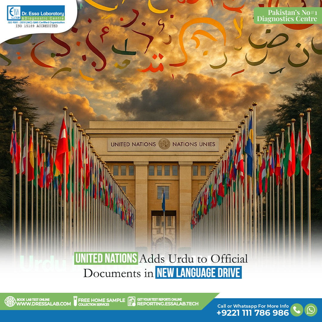 Dr - 🌐📜 Historic Milestone for Urdu! 🇵🇰 The United Nations has ...