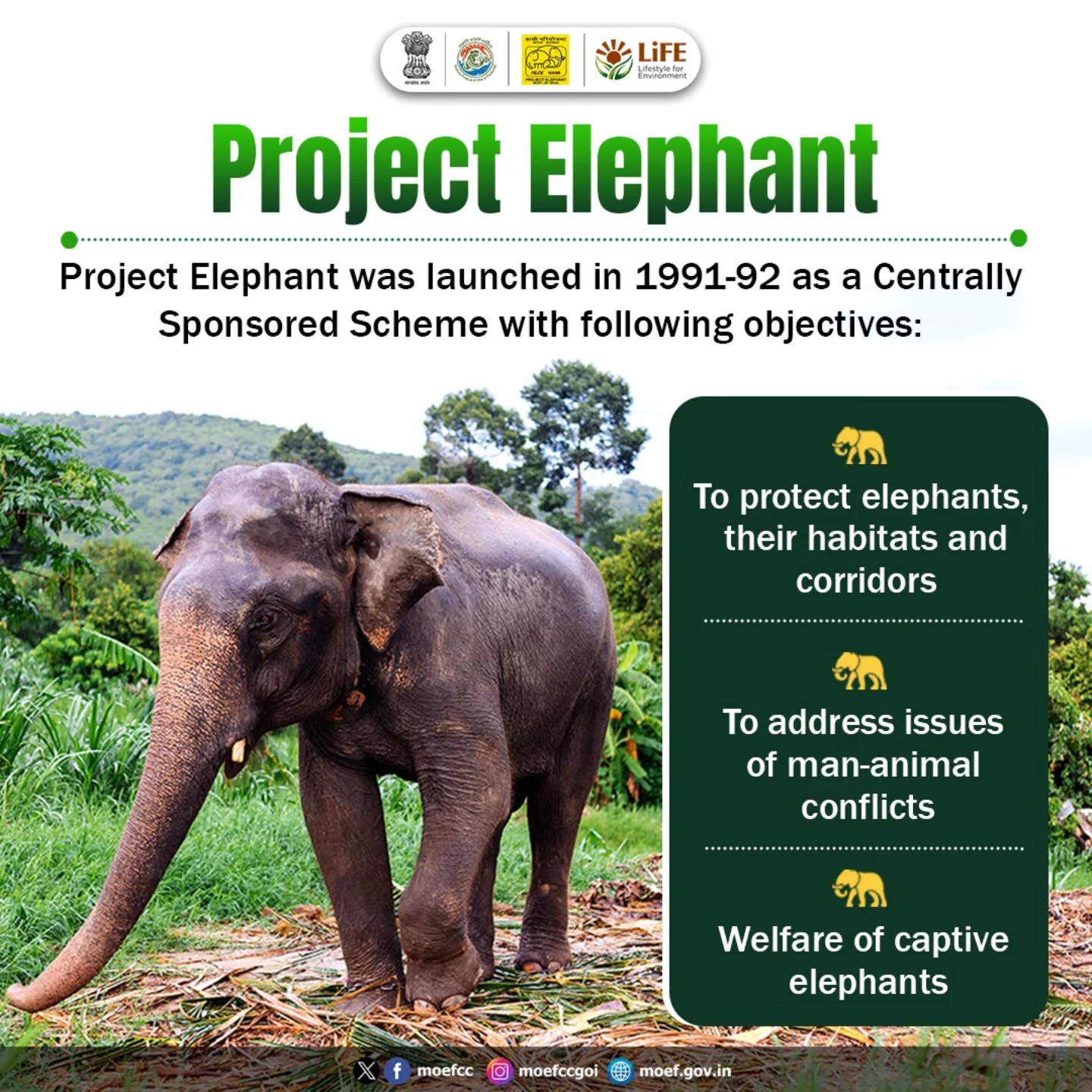 Project Elephant was launched in 1991-92 as a Centrally Sponsored ...