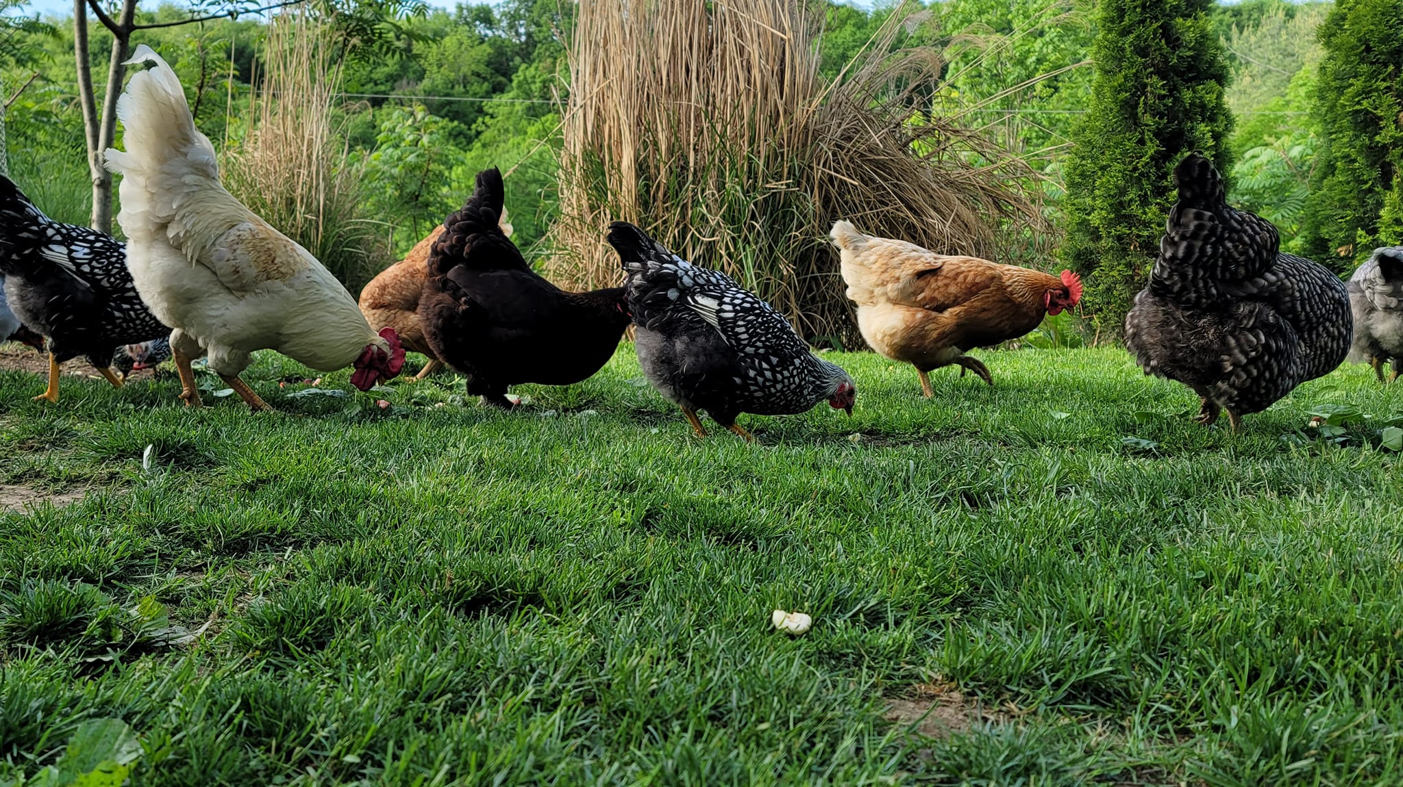 The Houser Family Farm, LLC