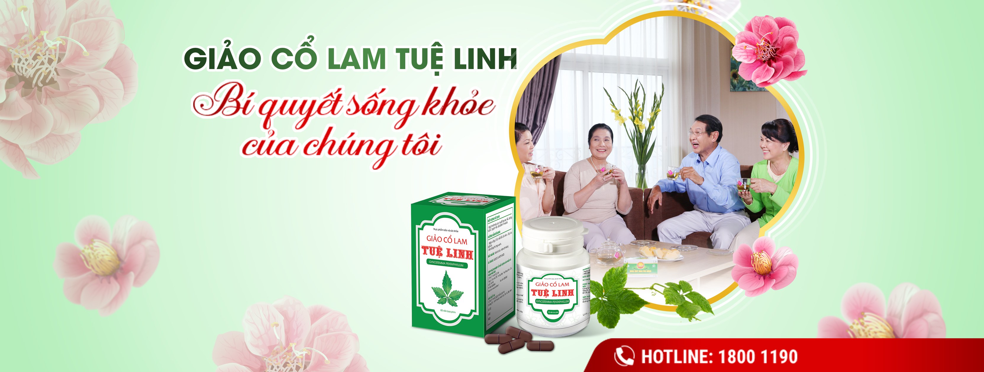 Giảo cổ lam Tuệ Linh