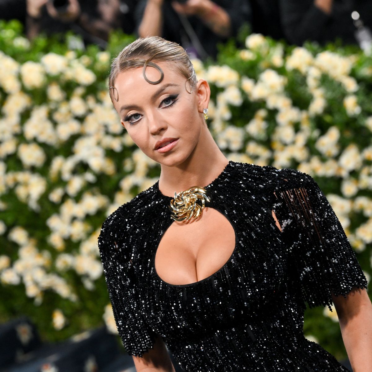 sydney sweeney glitter dress Sweeney's 2025 Met Gala look? A glittery, beaded dream with the perfect cut-outs ✨ Tap the link below to see it in all its glory 👇️ BMSM26