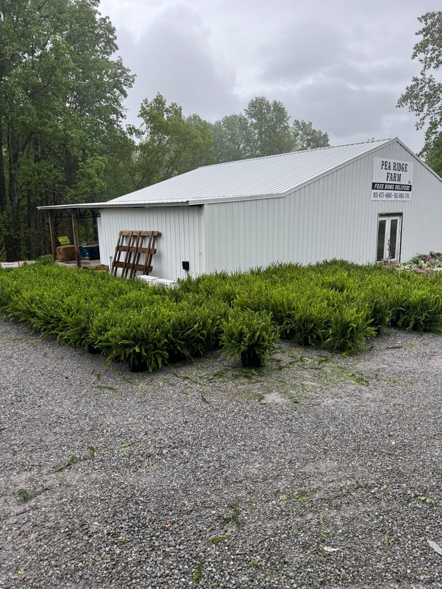 Pea Ridge Farm