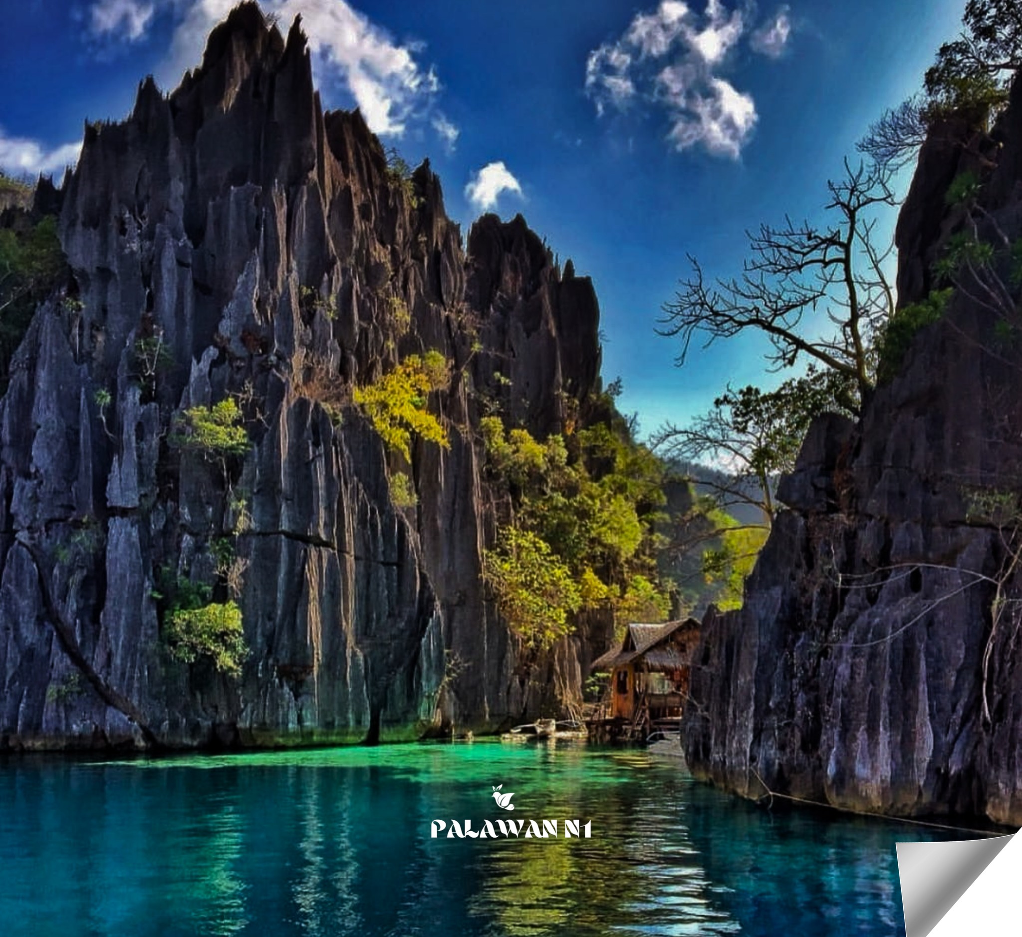 Palawan's Number One