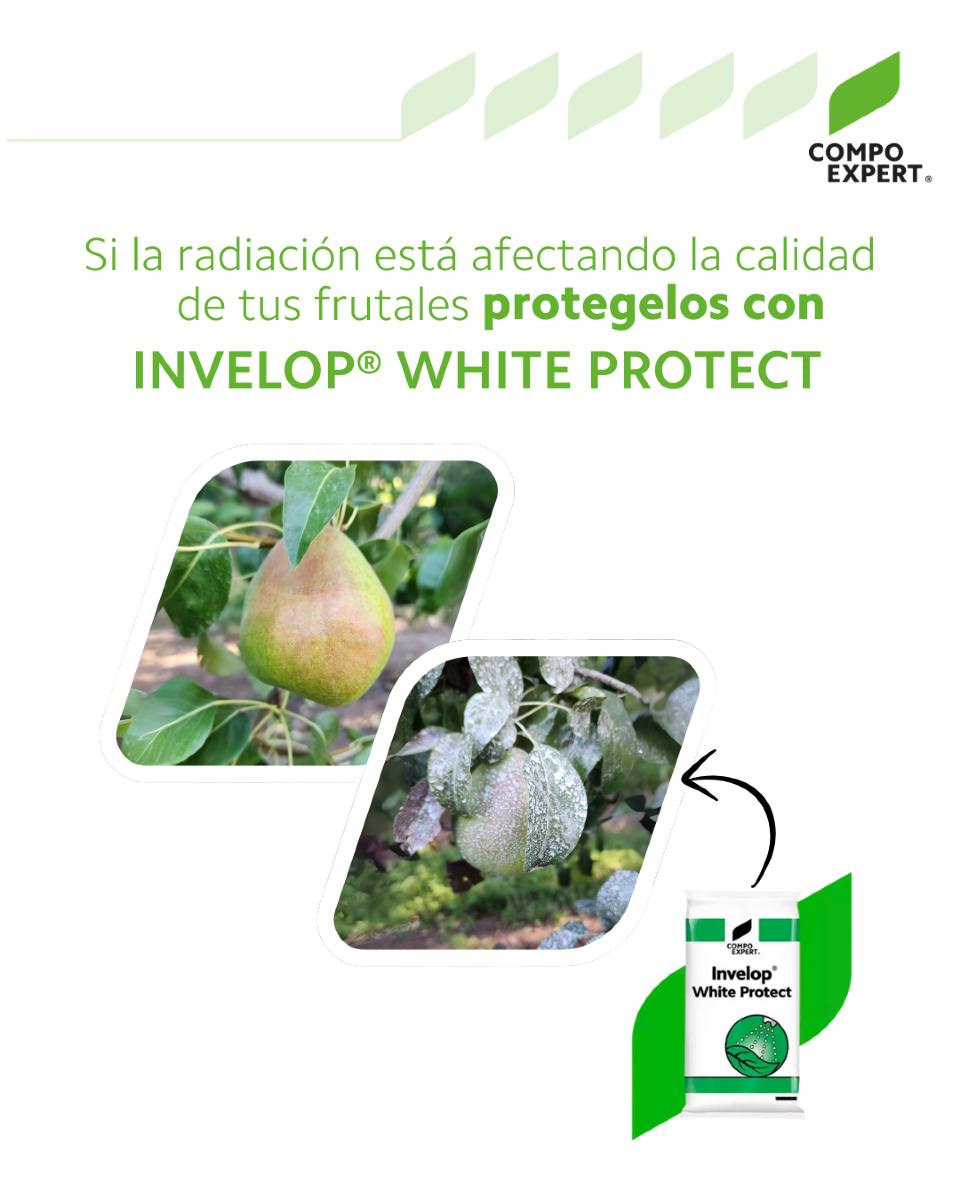 Compo - ☀️ Protección solar para tus cultivos 🍏 Si la radiación solar ...
