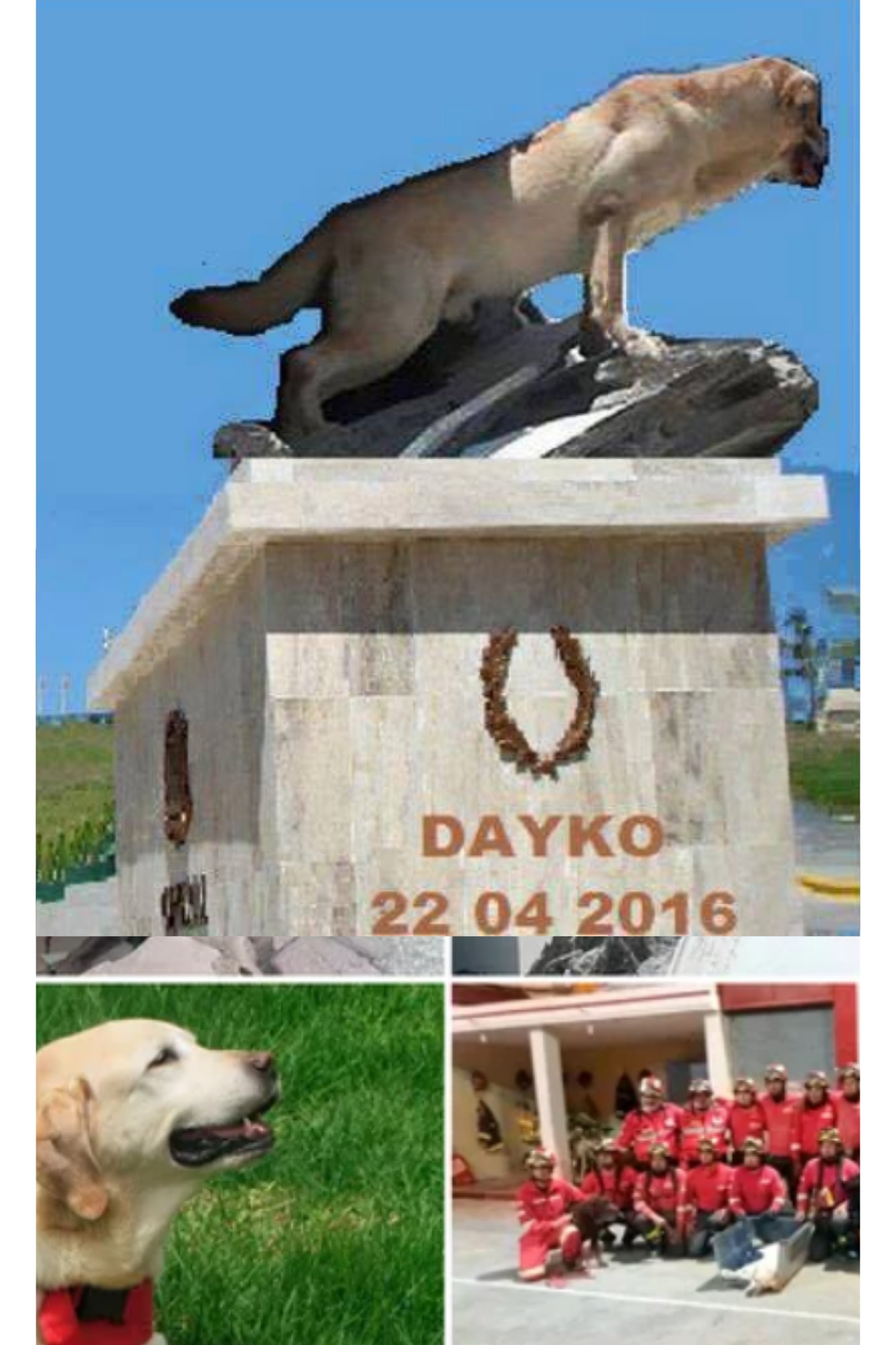 #lectura | Dayko: El perro... - Sorpréndete con la Realidad | Facebook