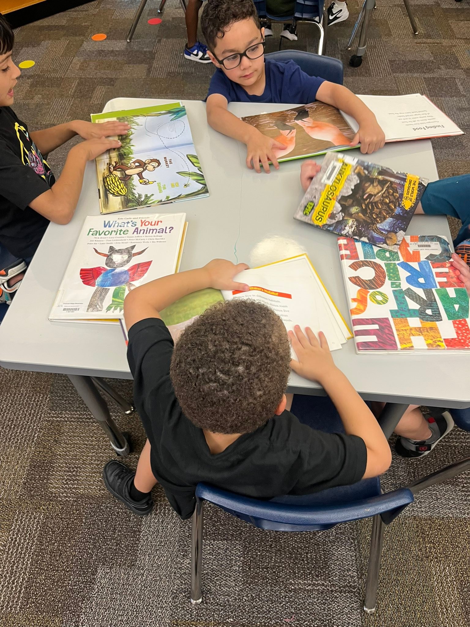 Chisholm Ridge Elementary Library