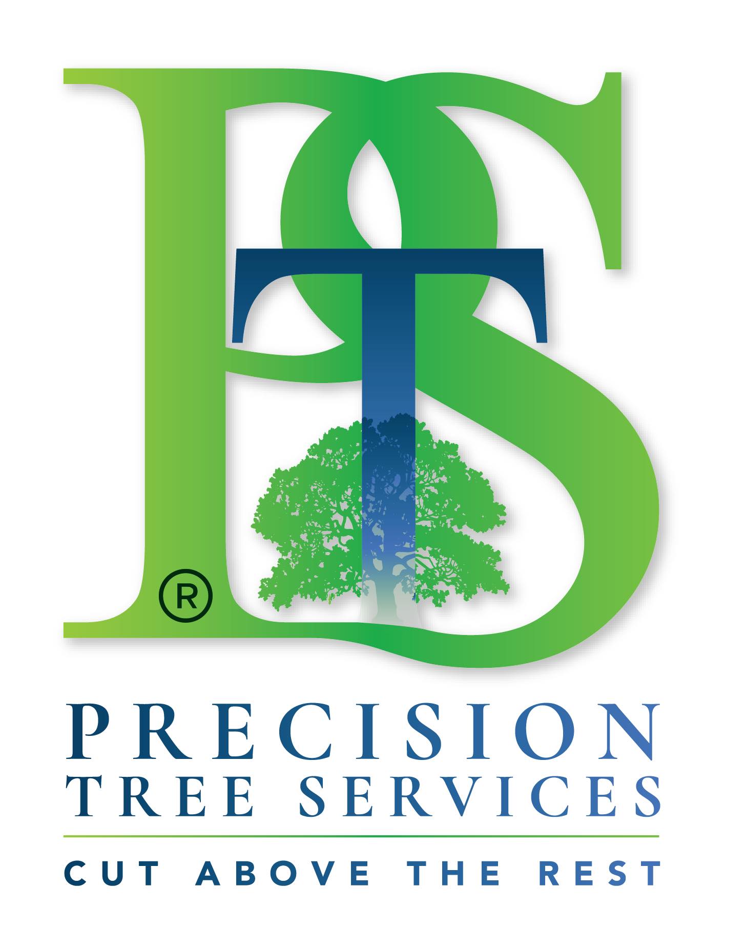 Precision - We’ve rebranded our logo ️🌳 And our new brochure coming out ...