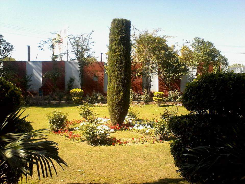 District Public School Layyah