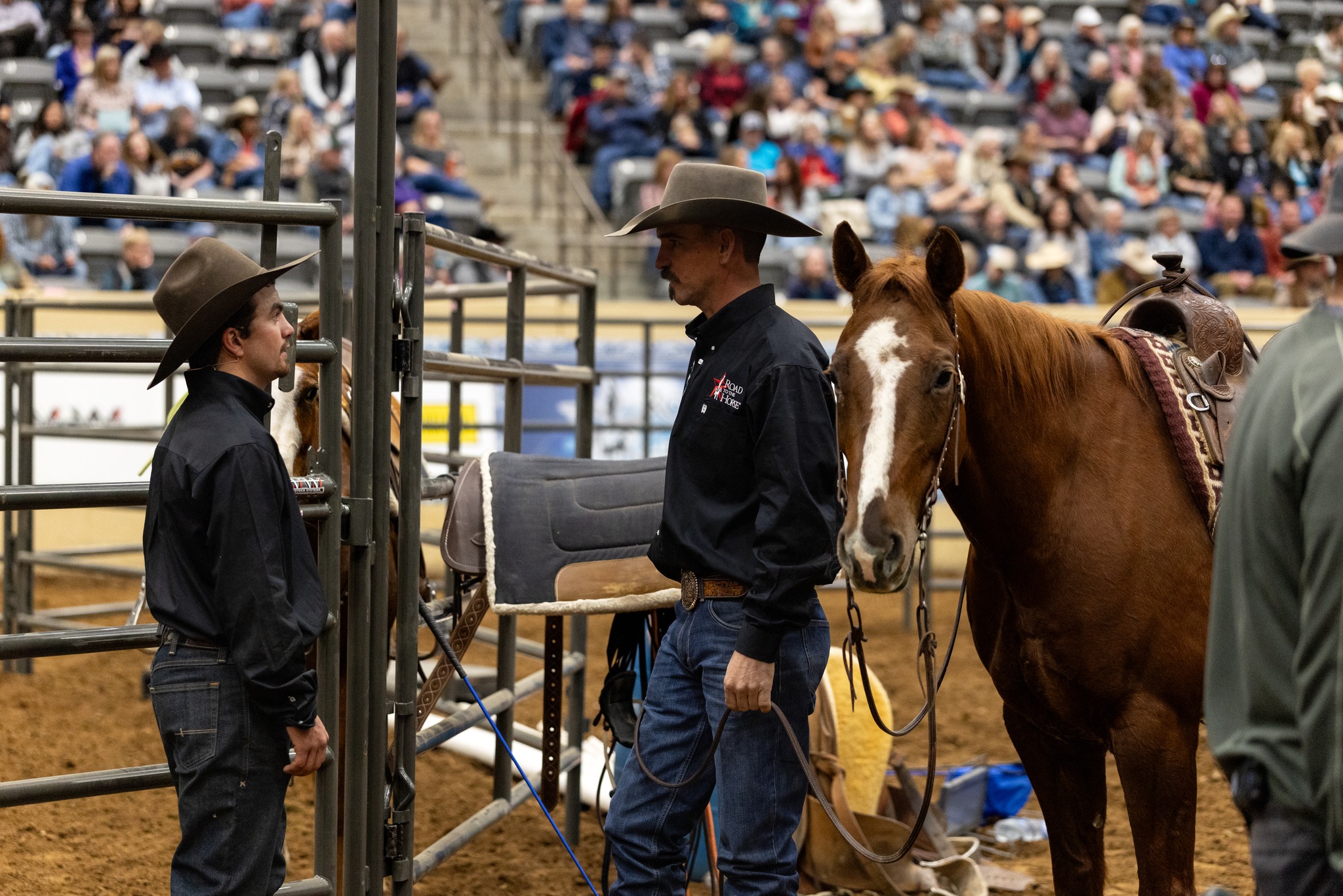 Road to the Horse - The partnerships the Wild Cards developed with ...