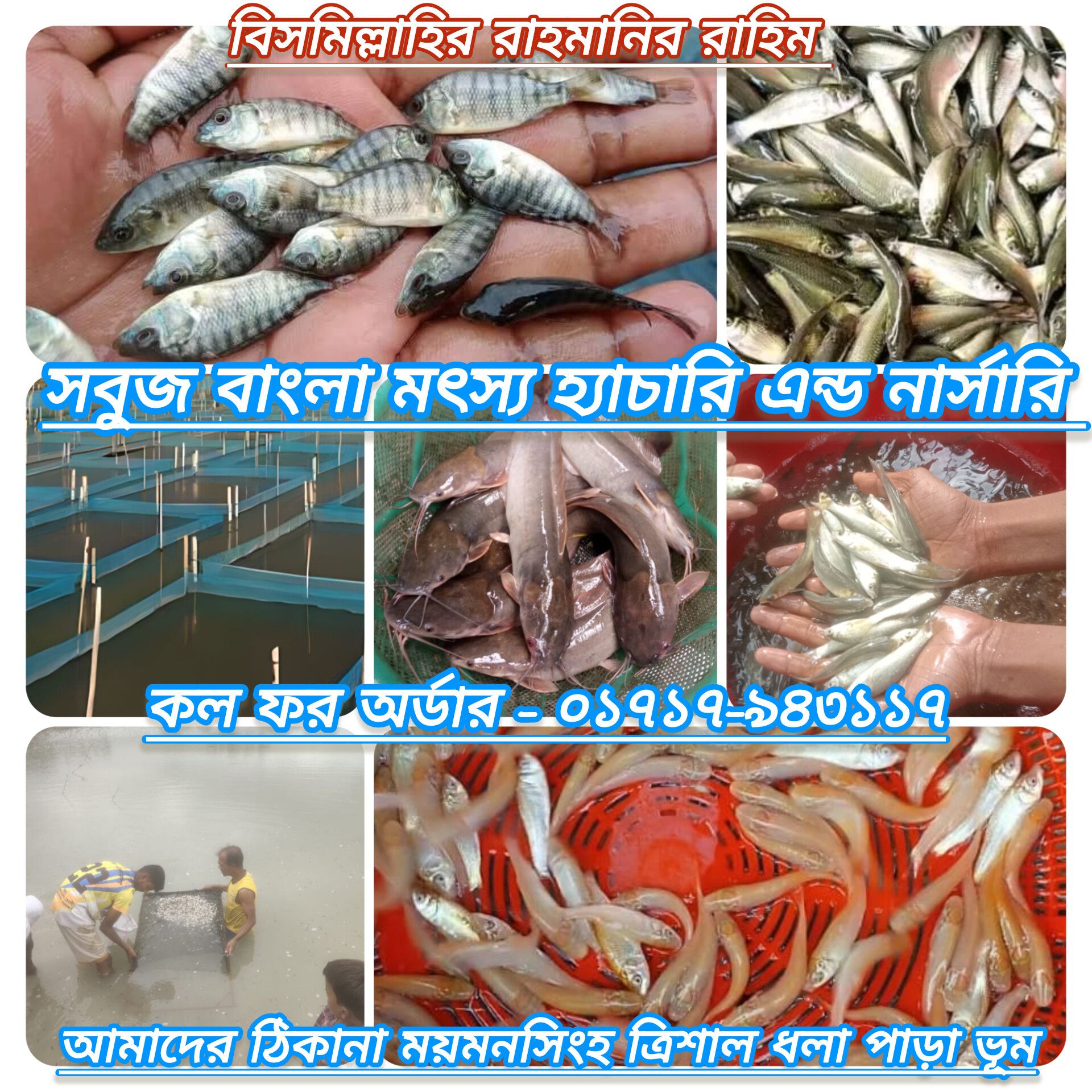  All Fish Sell BD - যে কোনো মাছের পোনা ও রেণু অর্ডার করতে কল করুন mobile Illustration 