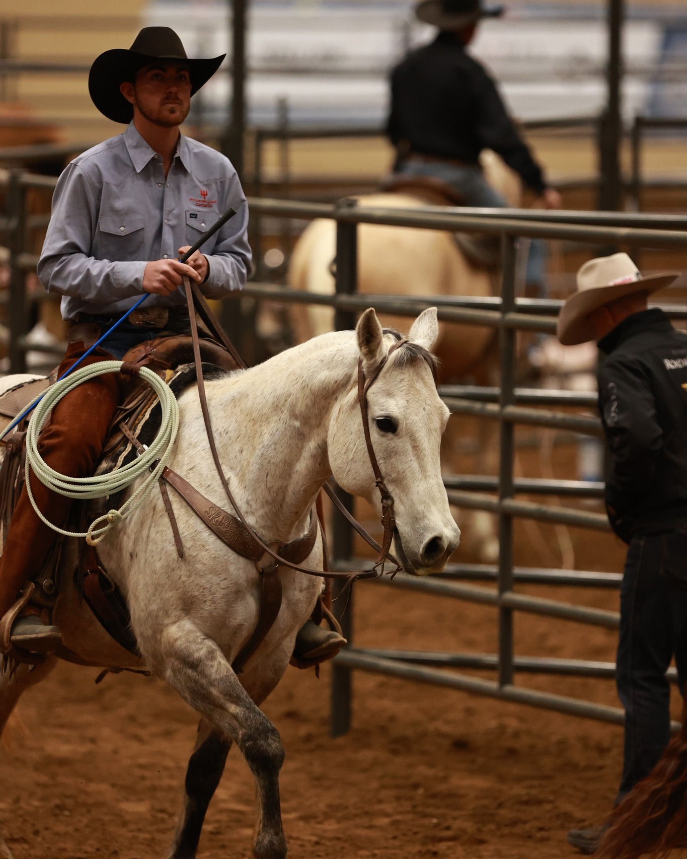 Road to the Horse - The partnerships the Wild Cards developed with ...