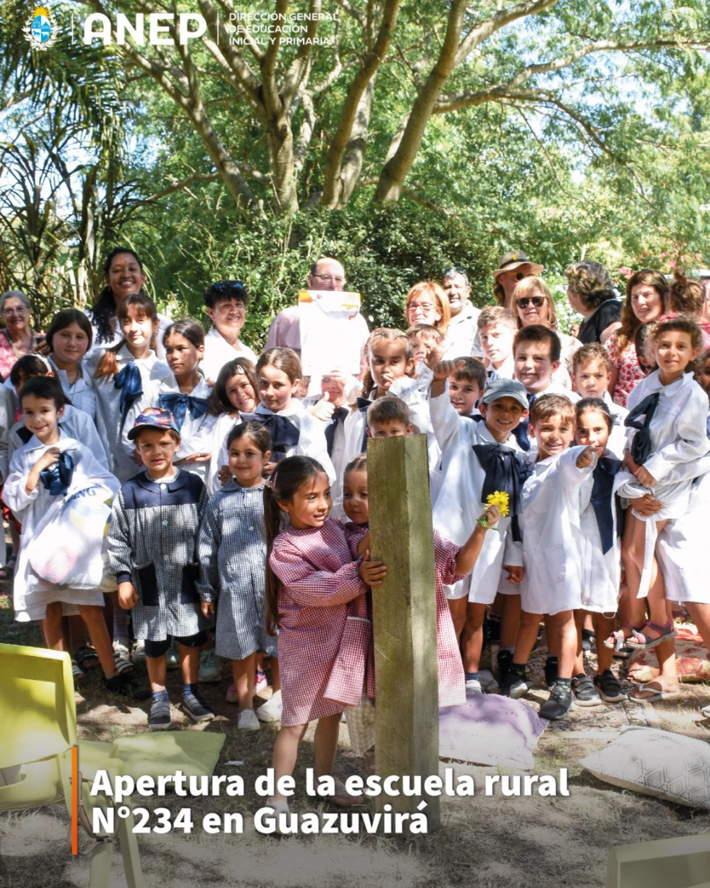 Dirección - La Dirección General de Educación Inicial y Primaria ...