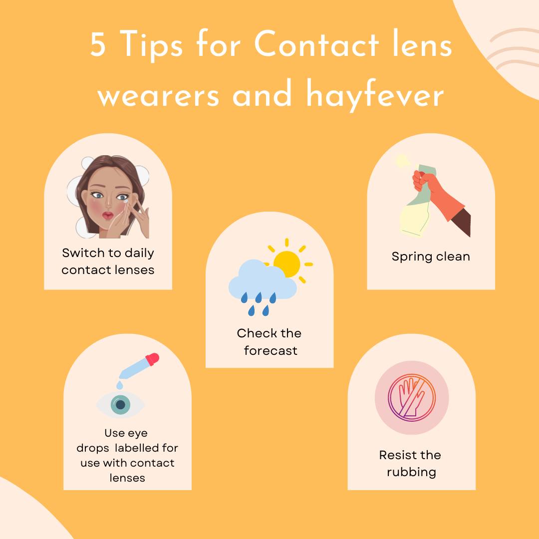 Daysoft Contact Lenses