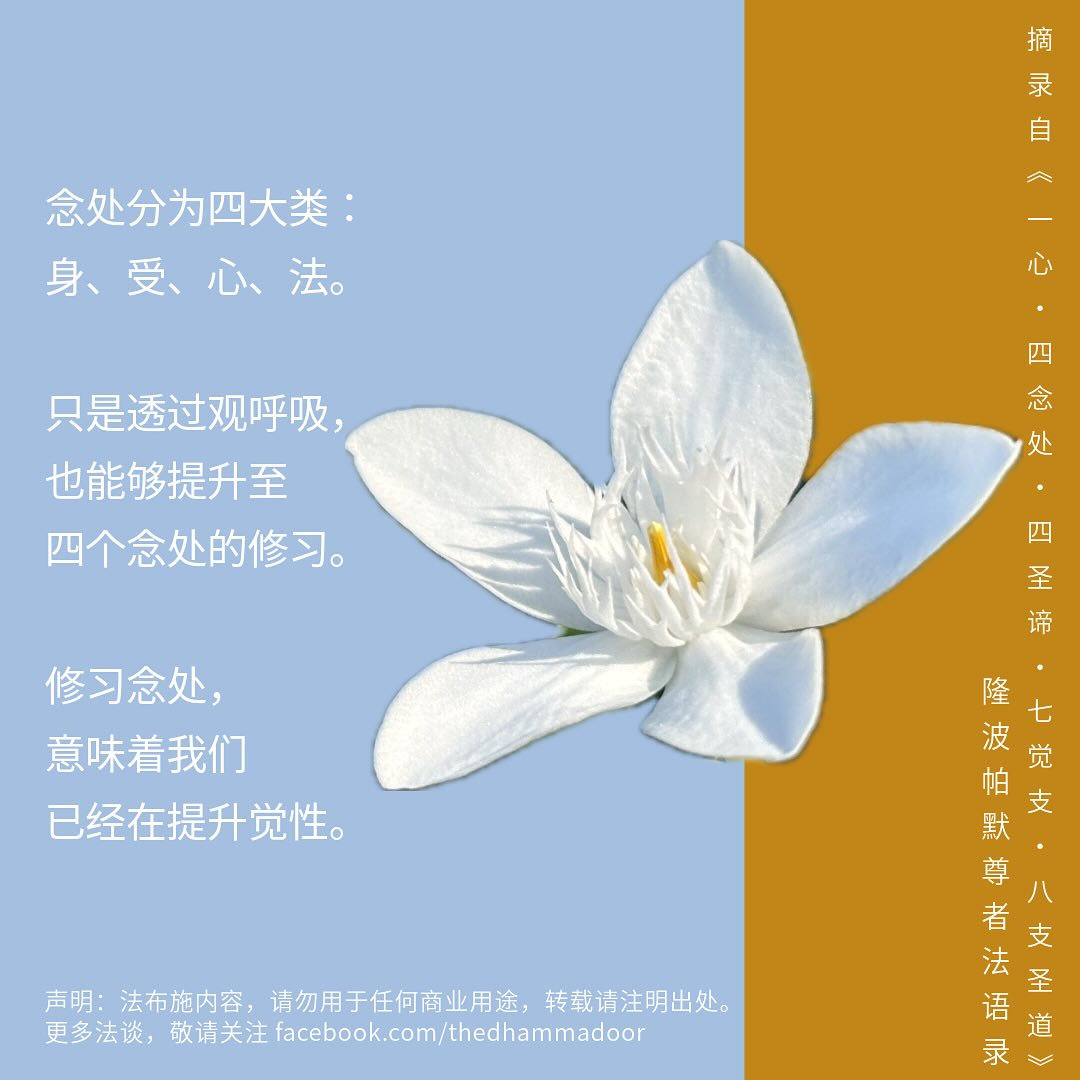 thedhammadoor