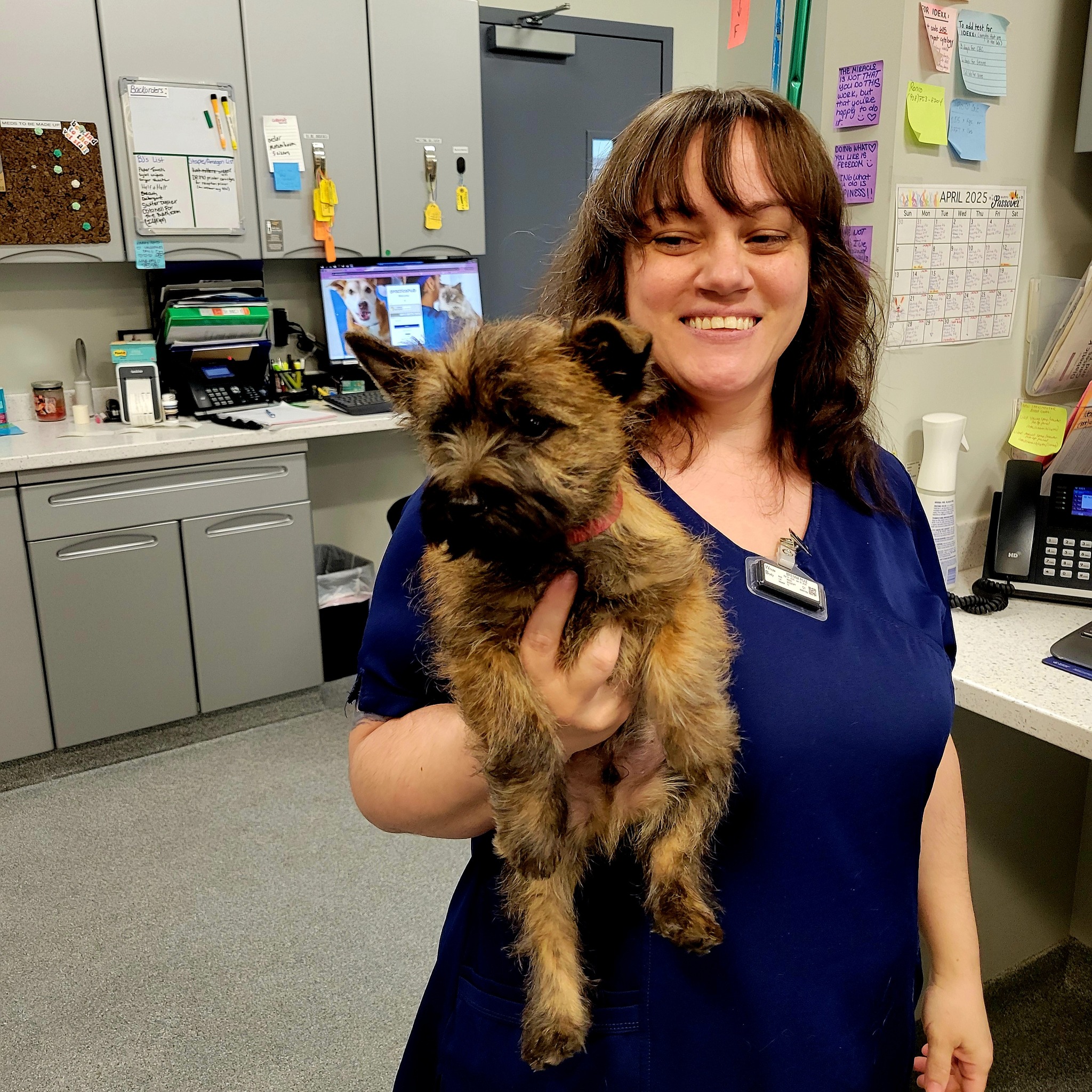 🐾 Say hello to our new... - South Shore Animal Hospital | Facebook