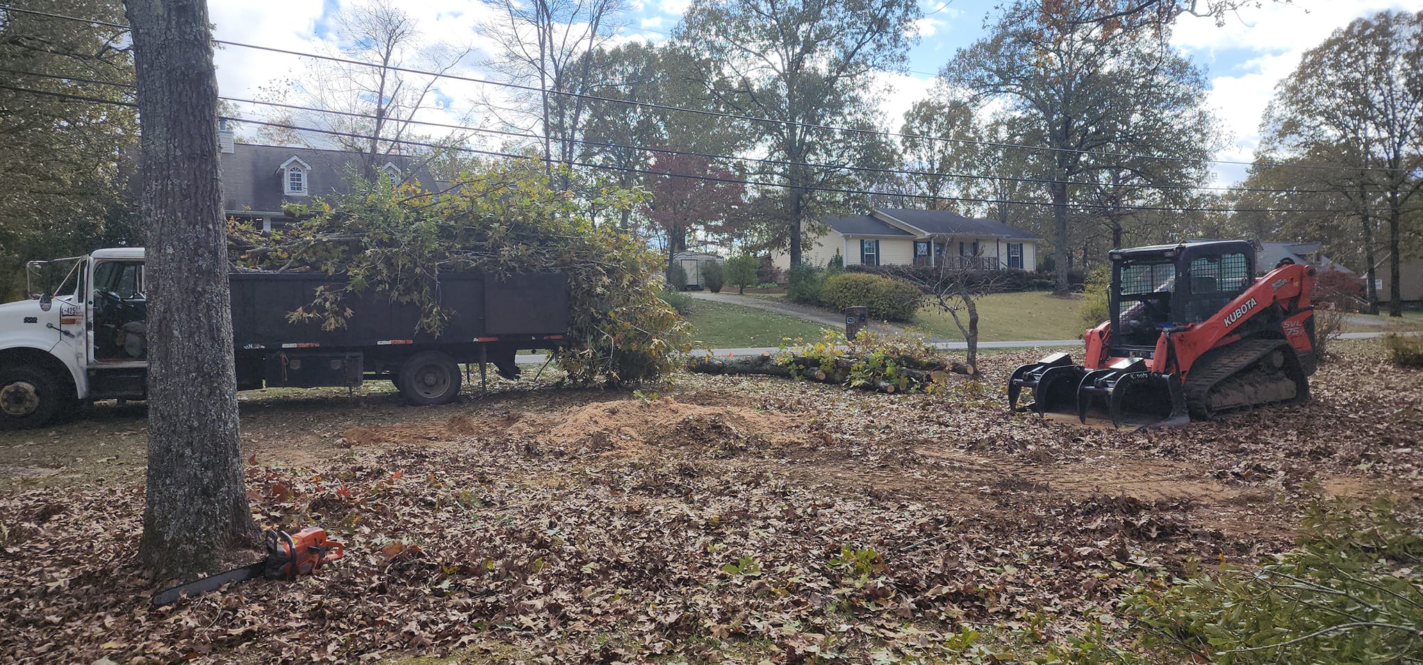 Fowler Tree and Stump | McCalla AL