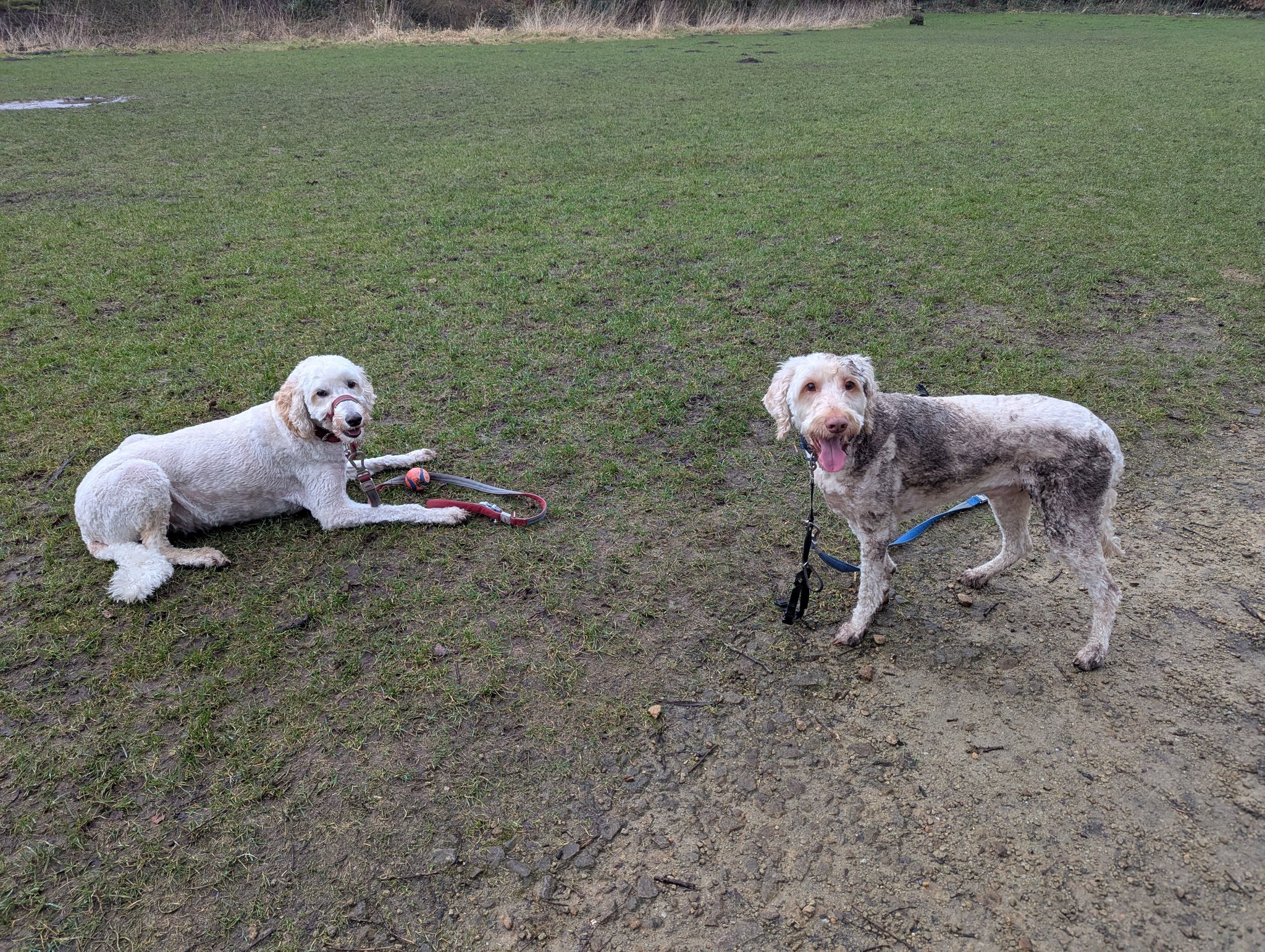 Bryn & Ritchie