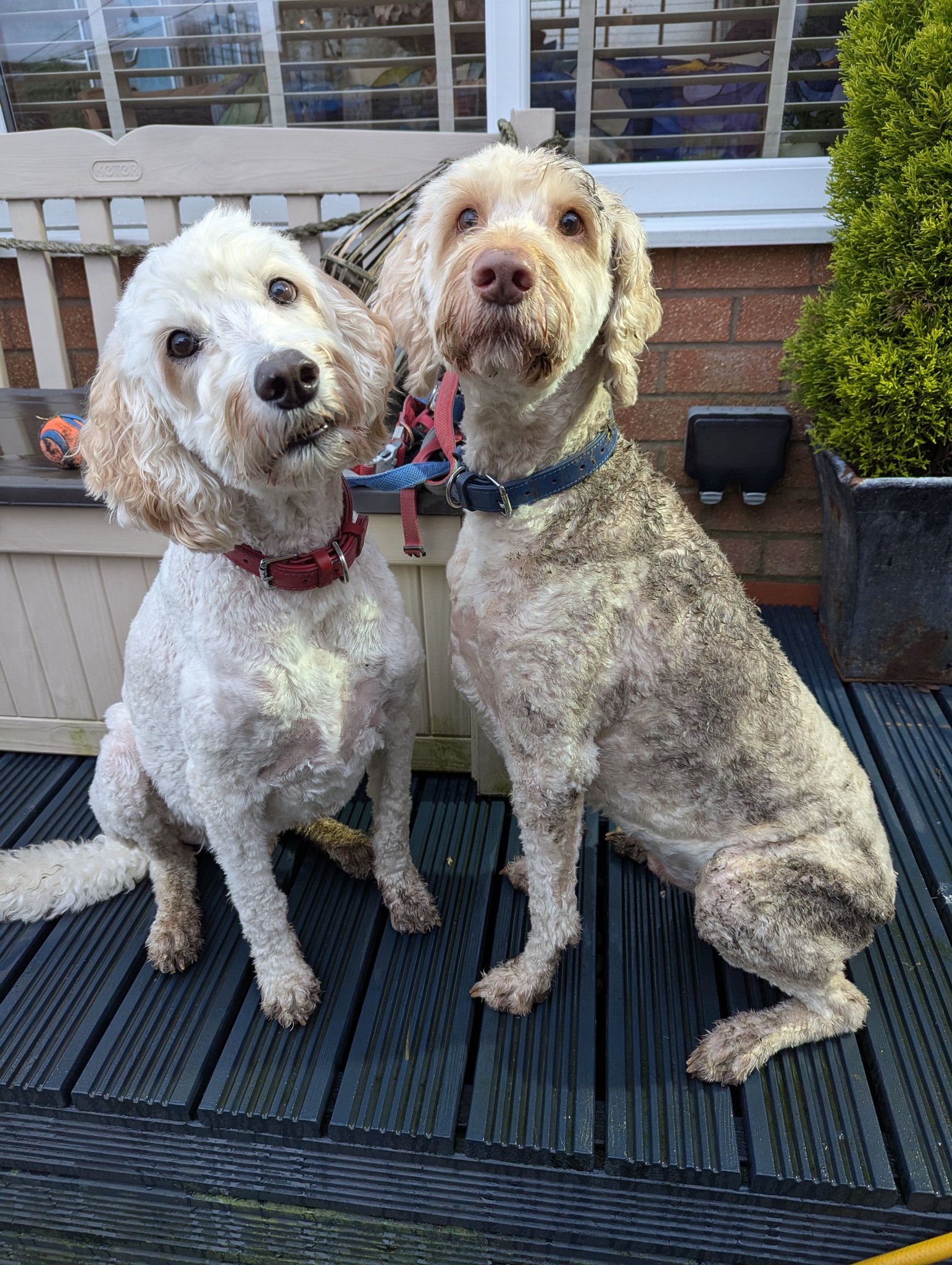 Bryn & Ritchie