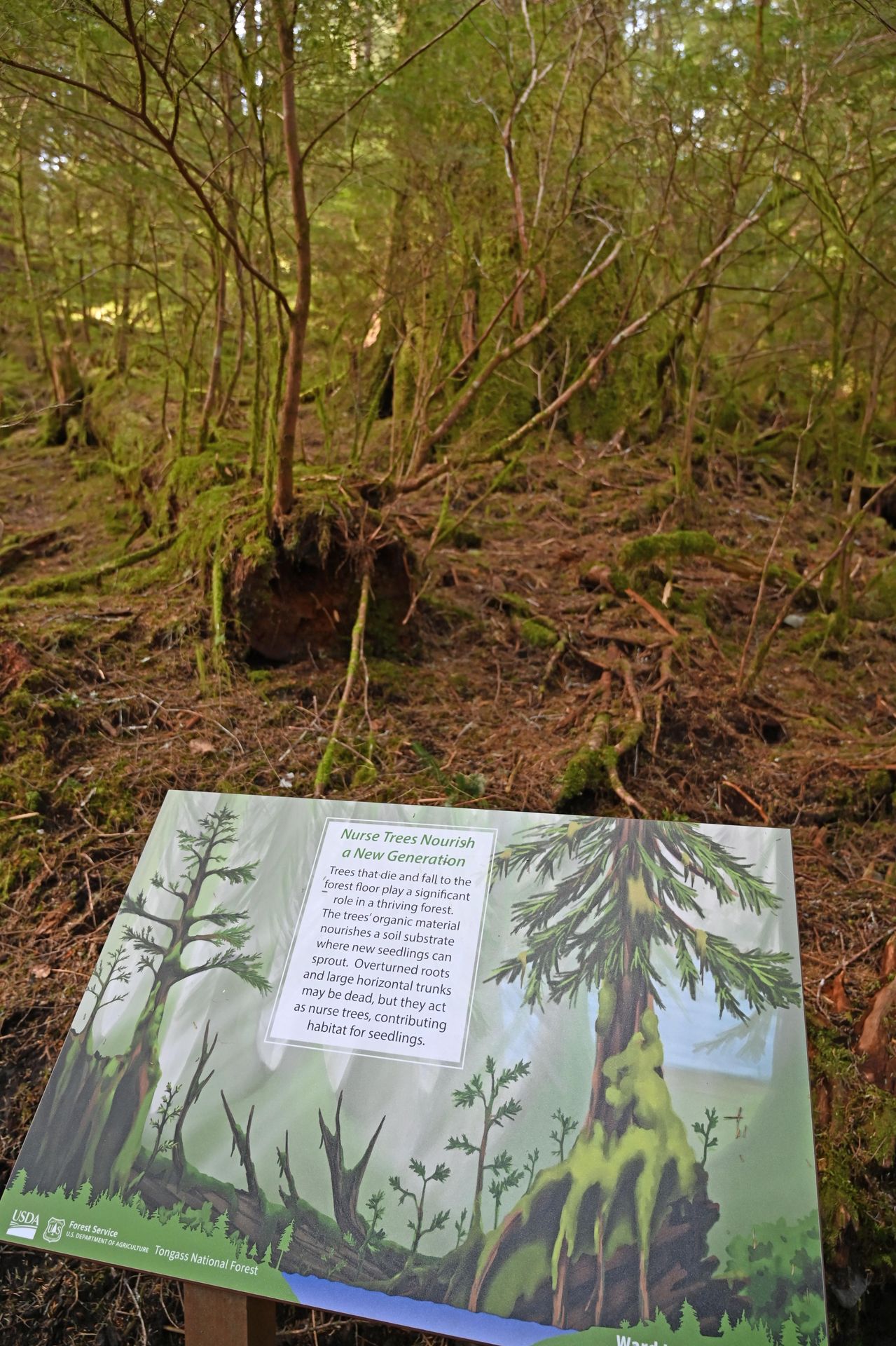 U.S. - An Eagle Scout installed new interpretive signage around the ...