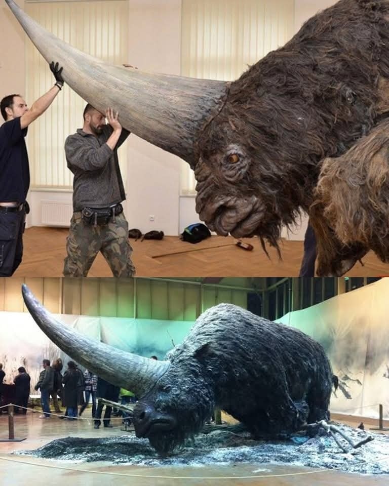 Kamran - The Siberian Unicorn: A True Giant in Our Ancestral History ...