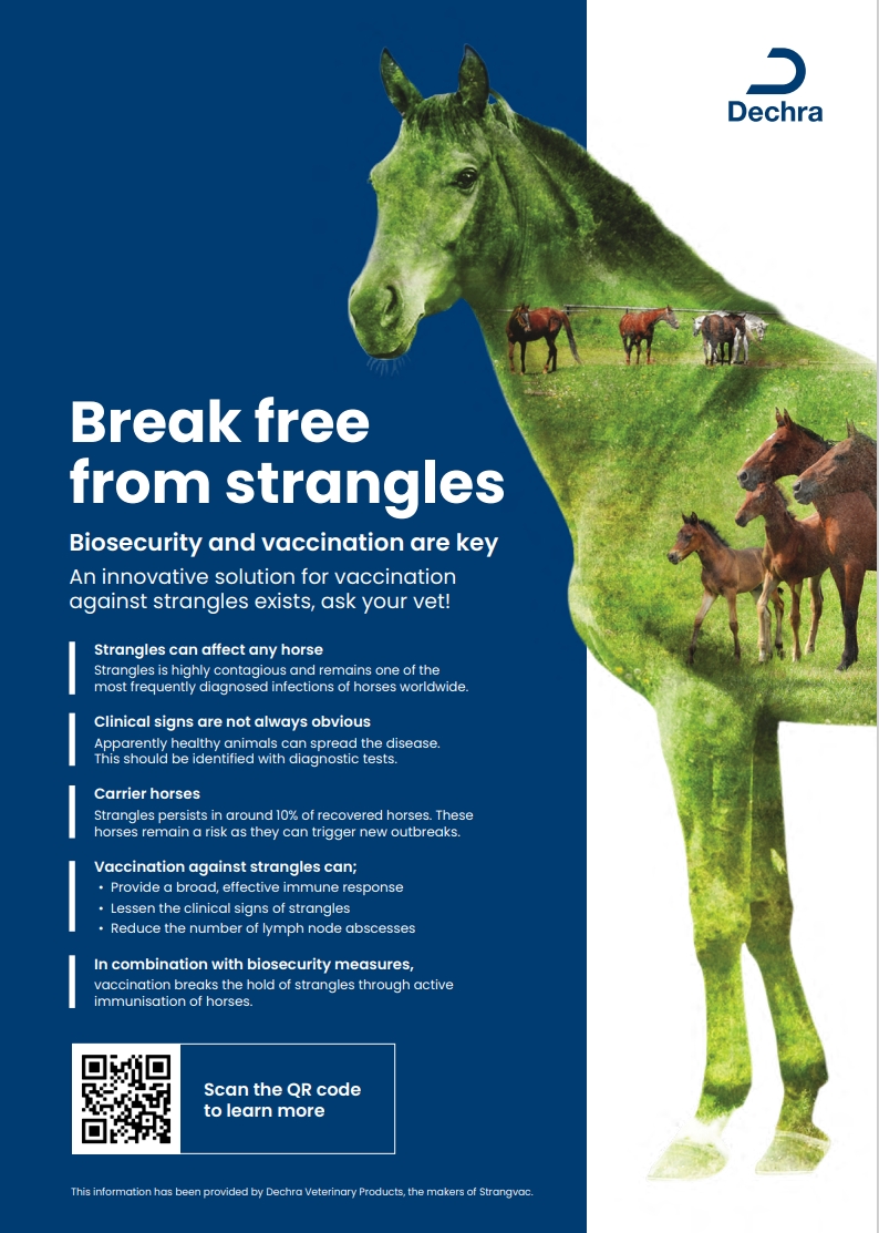 Bearl - Did you know that we stock the strangles vaccine 💉 What are the ...