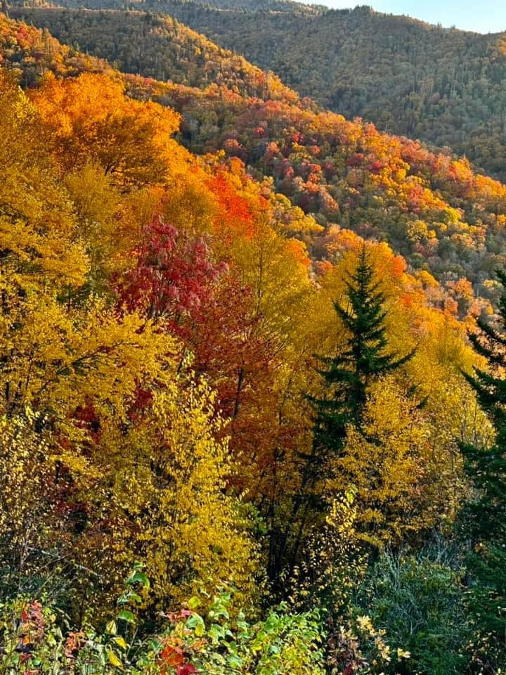 The Summit of Locust Ridge - Smokey Mountain Rental Cabins