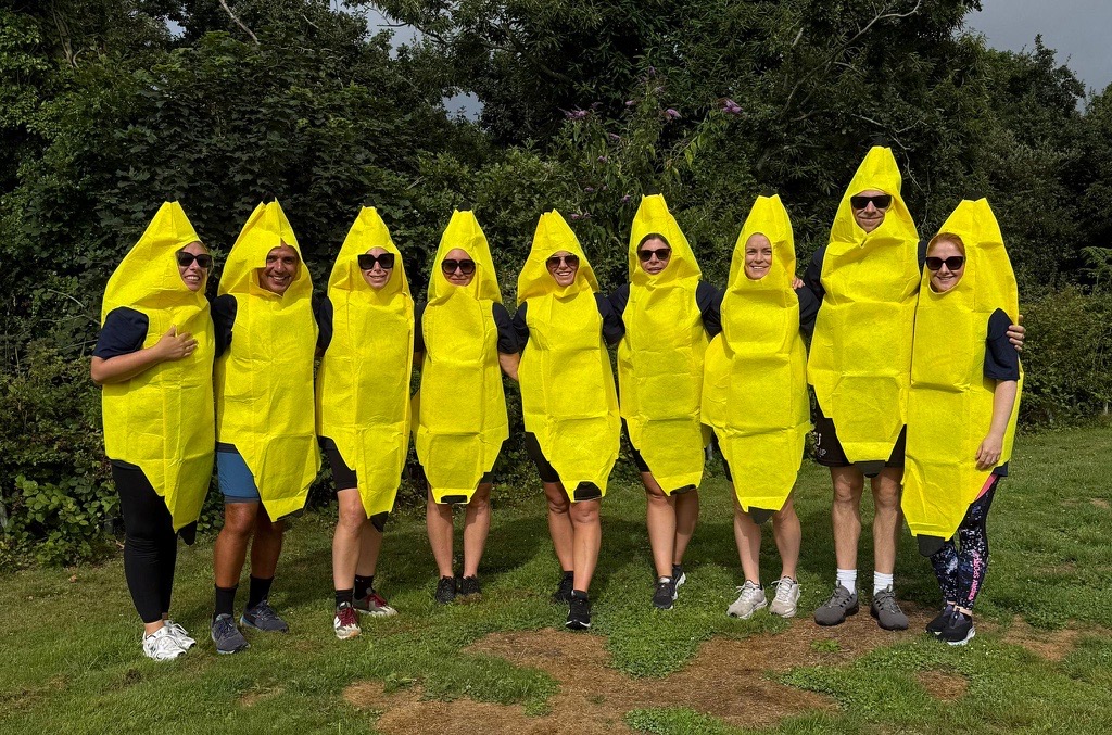 It's a Knockout 2027 - Jersey
