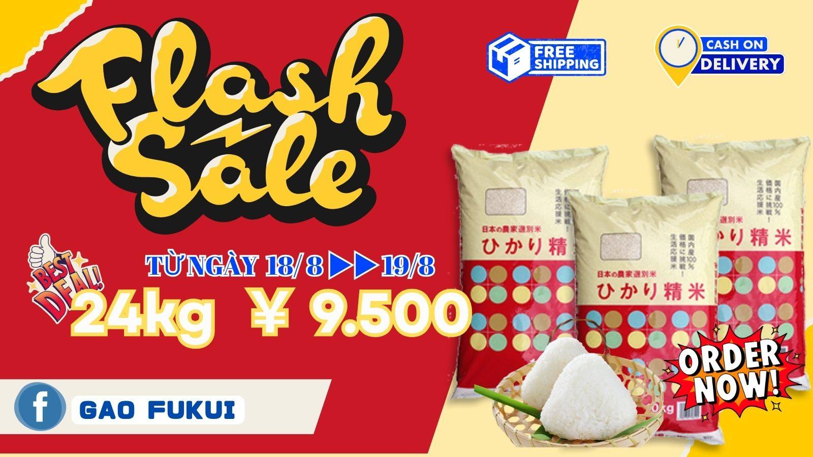 Gạo Fukui- Gạo Nhật ngon,rẻ dành cho người Việt | Fukui-shi Fukui
