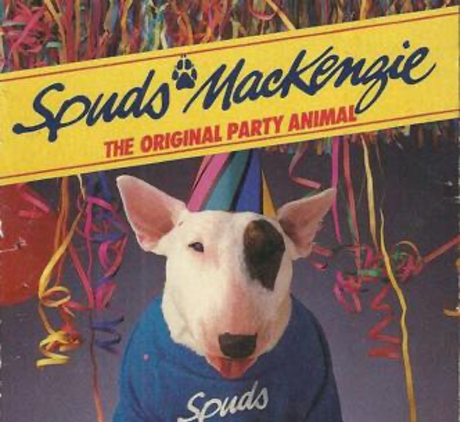 Spuds Mackenzie (was actually a female dog named Honey Tree) The