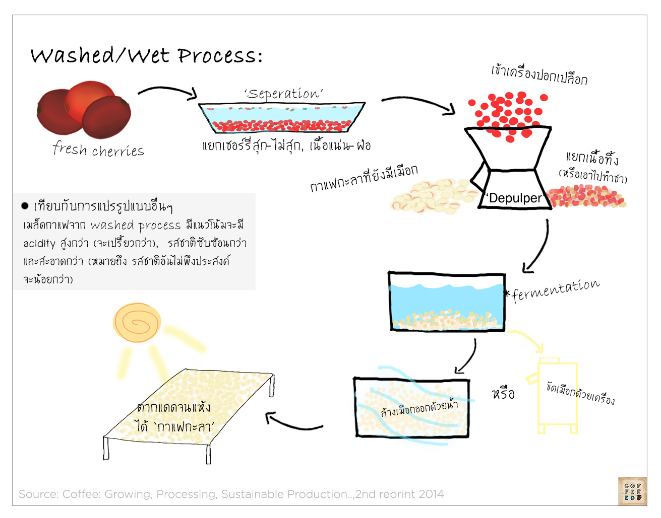 Washed Process... - Black Sea Coffee แบลคซีคอฟฟี่ | Facebook
