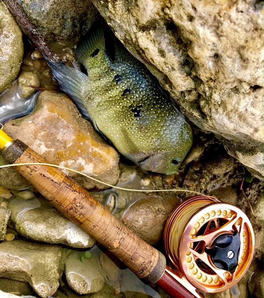 3wt fly rod pan fish 9' or wherever else they can wet a line Featherweight Fly-Fishing - On The