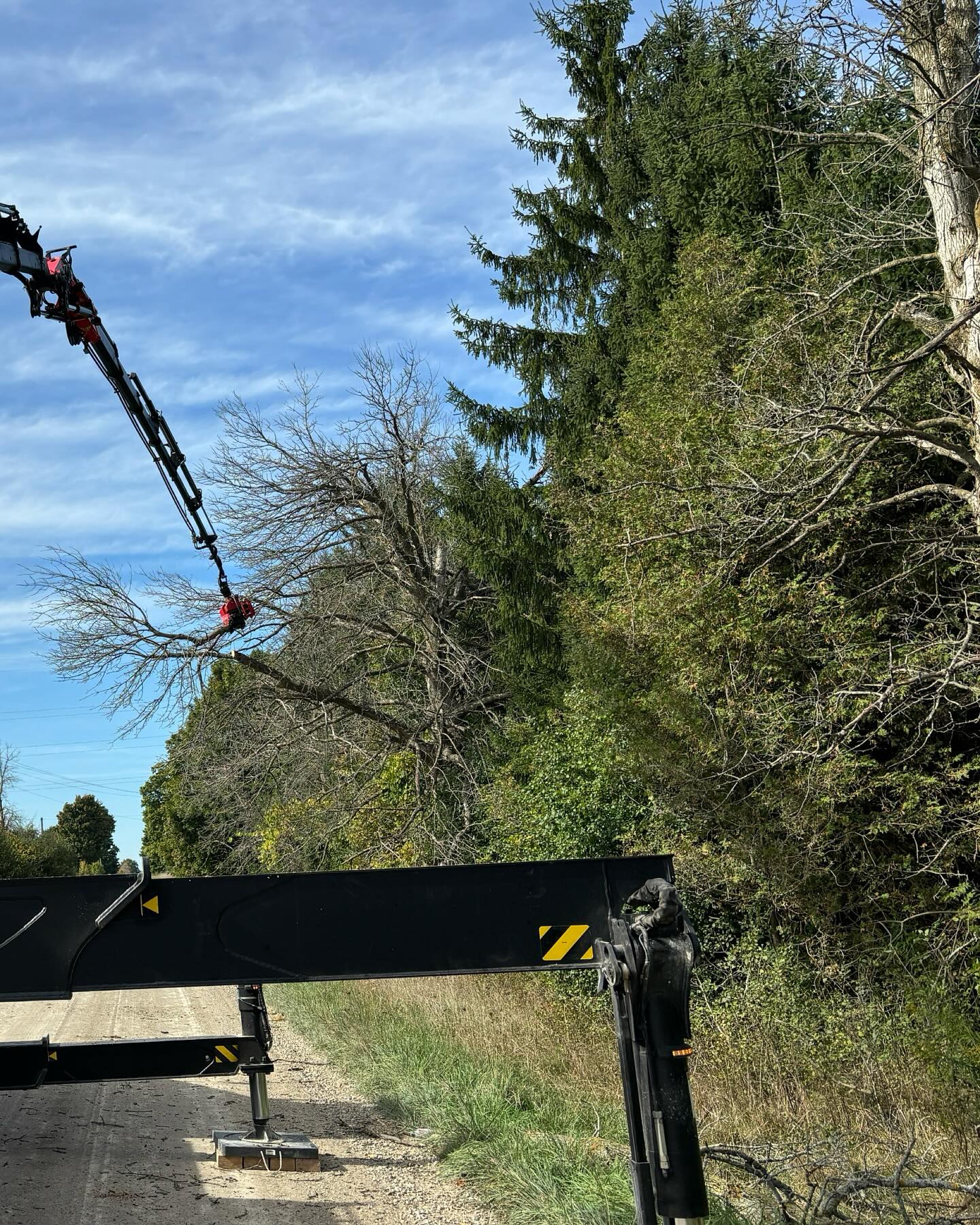 Maple Hill Tree Services | Burlington ON
