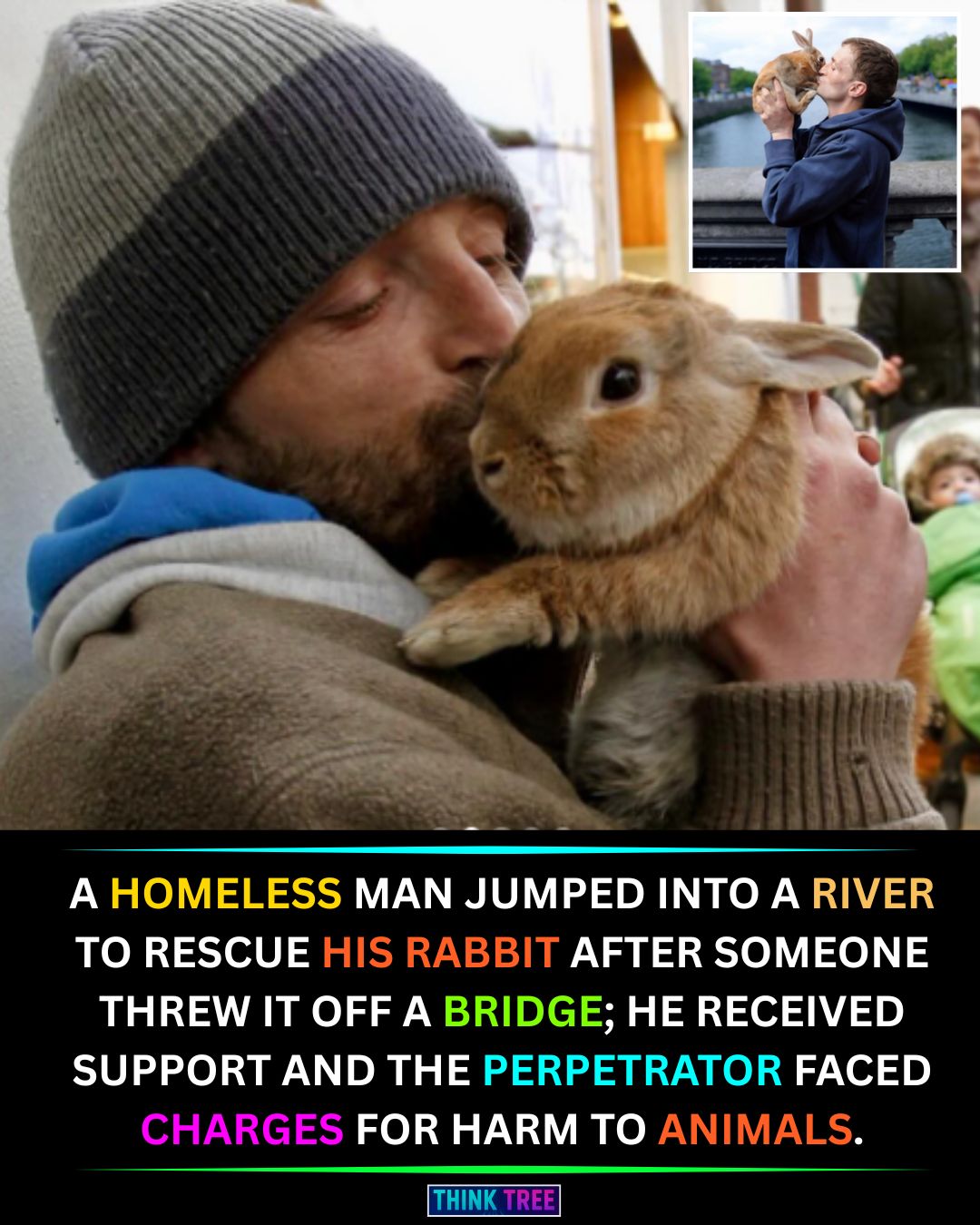 World of Animals | 🐴⚓ A river guide heard splashes—then spotted a ...