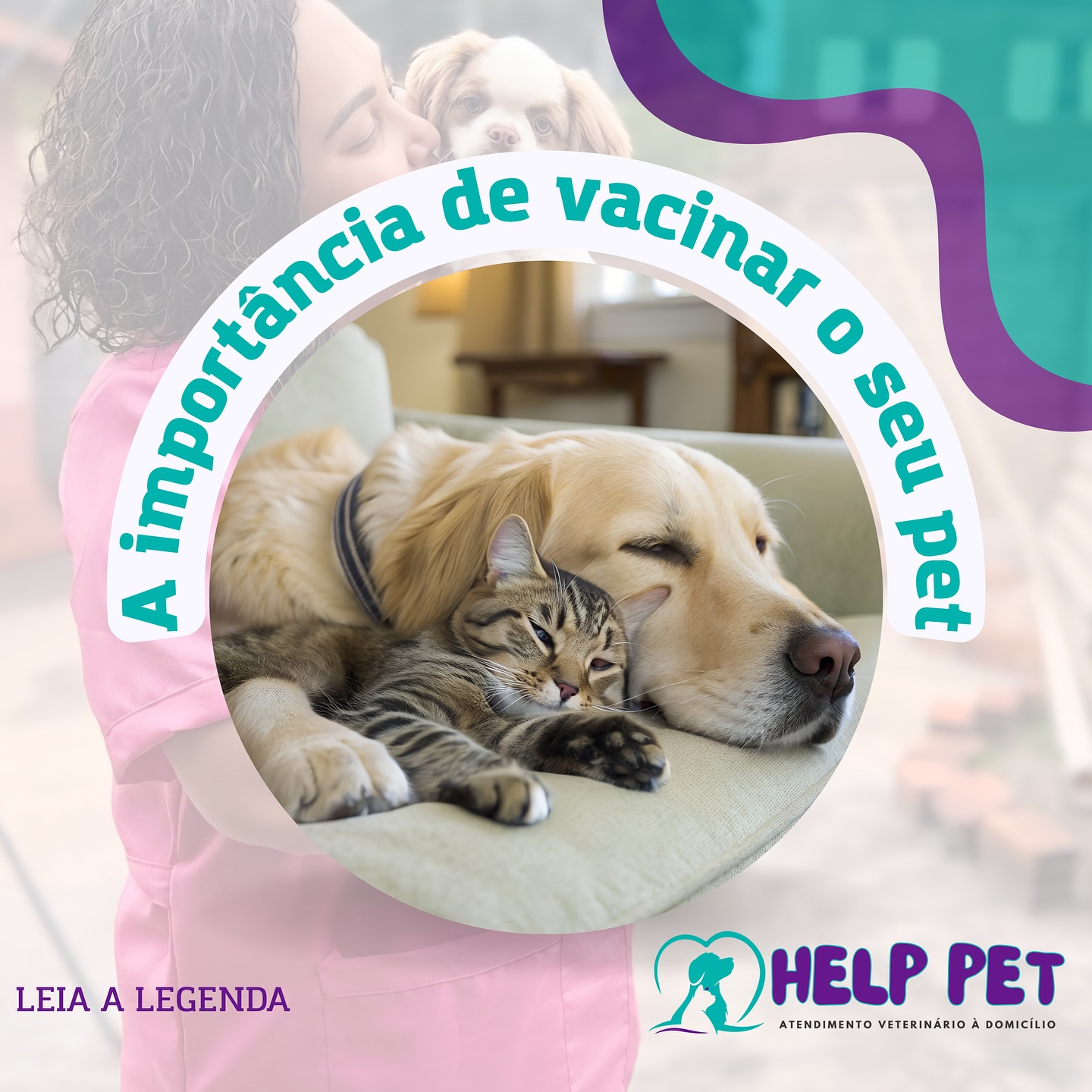 Help Pet - Help Pet added a new photo — in Polvilho