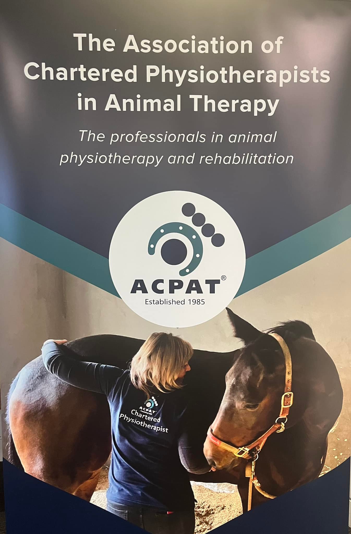Hannah Price Veterinary Physiotherapy | Builth