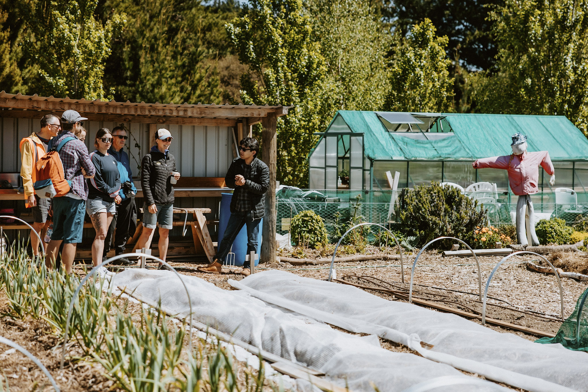 Freshlink | Wanaka
